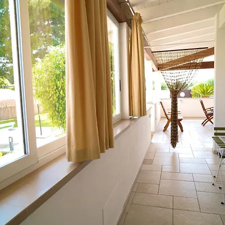 Riro فيلة باري