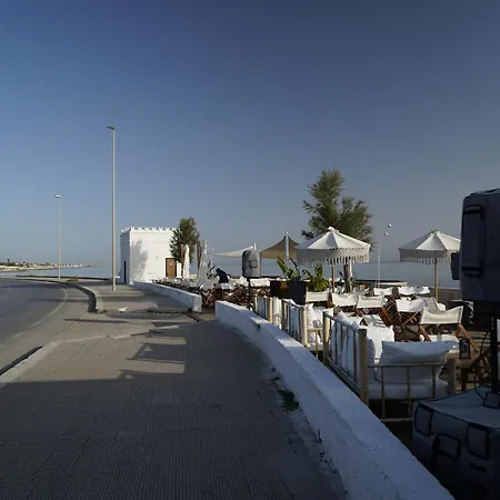 Riro فيلة باري