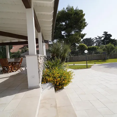 Riro فيلة باري