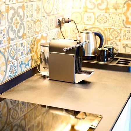 Riro فيلة باري